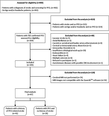 PFO-spectrum disorder: two different cerebrovascular diseases in patients with PFO as detected by AI brain imaging software